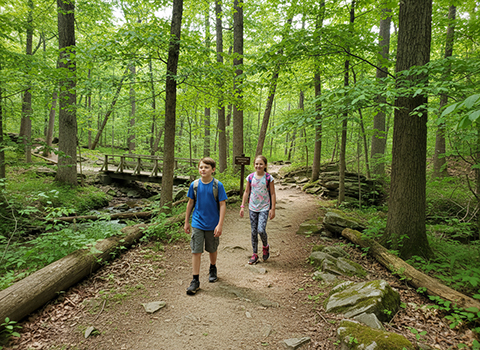 Raven Run Nature Sanctuary Trail